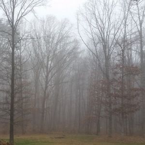 Meet your Posher, Eckley